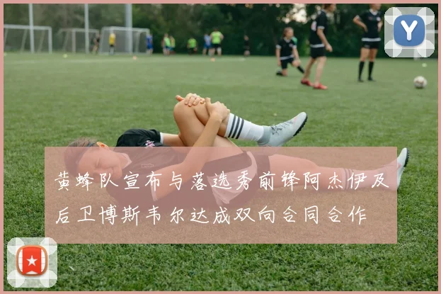 黄蜂队宣布与落选秀前锋阿杰伊及后卫博斯韦尔达成双向合同合作